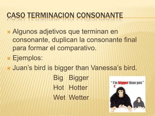 CASO TERMINACION CONSONANTE

 Algunos adjetivos que terminan en
  consonante, duplican la consonante final
  para formar el comparativo.
 Ejemplos:

 Juan’s bird is bigger than Vanessa’s bird.

                Big Bigger
                Hot Hotter
                Wet Wetter
 
