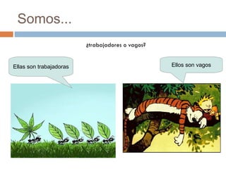 Somos... ¿trabajadores o vagos? Ellos son vagos Ellas son trabajadoras 