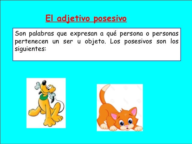 Adjetivos determinativo