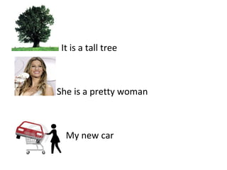It is a tall tree She is a pretty woman My new car 