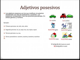 Adjetivos posesivos
 Los adjetivos posesivos son los que modifican al sustantivo
añadiéndole una idea de pertenencia o posesión. Los
posesivos corresponden a las tres personas gramaticales. En
ambos géneros y números.
Ejemplo:
 Primera persona: mi, mío, mis, míos
 Segunda persona: tu, su, tuyo, tus, sus, tuyos, suyos
 Tercera persona: su, sus,
 Varios poseedores: nuestro, nuestra, nuestros, nuestras

 