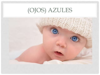 (OJOS) AZULES
 
