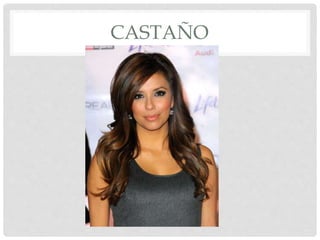 CASTAÑO 
 