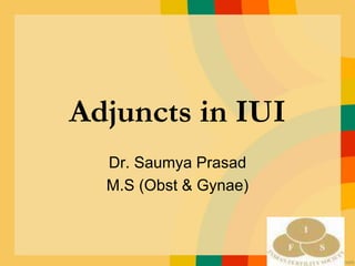 Adjuncts in IUI
Dr. Saumya Prasad
M.S (Obst & Gynae)
 