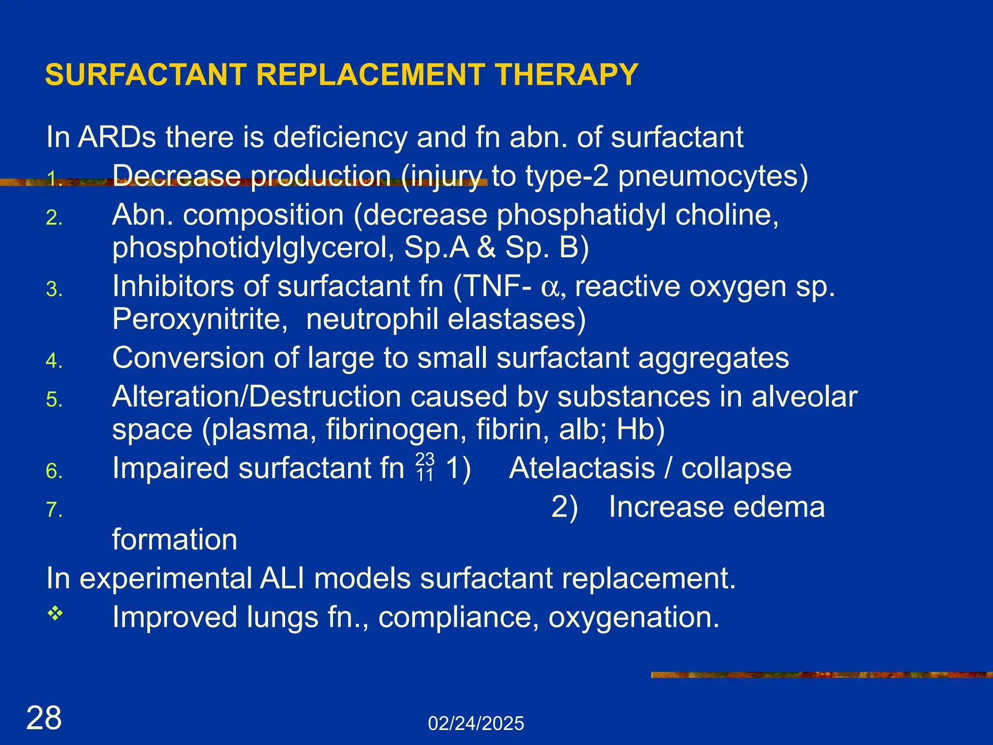 02/24/2025
28
SURFACTANT REPLACEMENT THERAPY
In ARDs there is deficiency and fn abn. of surfactant
1. Decrease production (injury to type-2 pneumocytes)
2. Abn. composition (decrease phosphatidyl choline,
phosphotidylglycerol, Sp.A & Sp. B)
3. Inhibitors of surfactant fn (TNF- a, reactive oxygen sp.
Peroxynitrite, neutrophil elastases)
4. Conversion of large to small surfactant aggregates
5. Alteration/Destruction caused by substances in alveolar
space (plasma, fibrinogen, fibrin, alb; Hb)
6. Impaired surfactant fn  1) Atelactasis / collapse
7. 2) Increase edema
formation
In experimental ALI models surfactant replacement.
 Improved lungs fn., compliance, oxygenation.
 