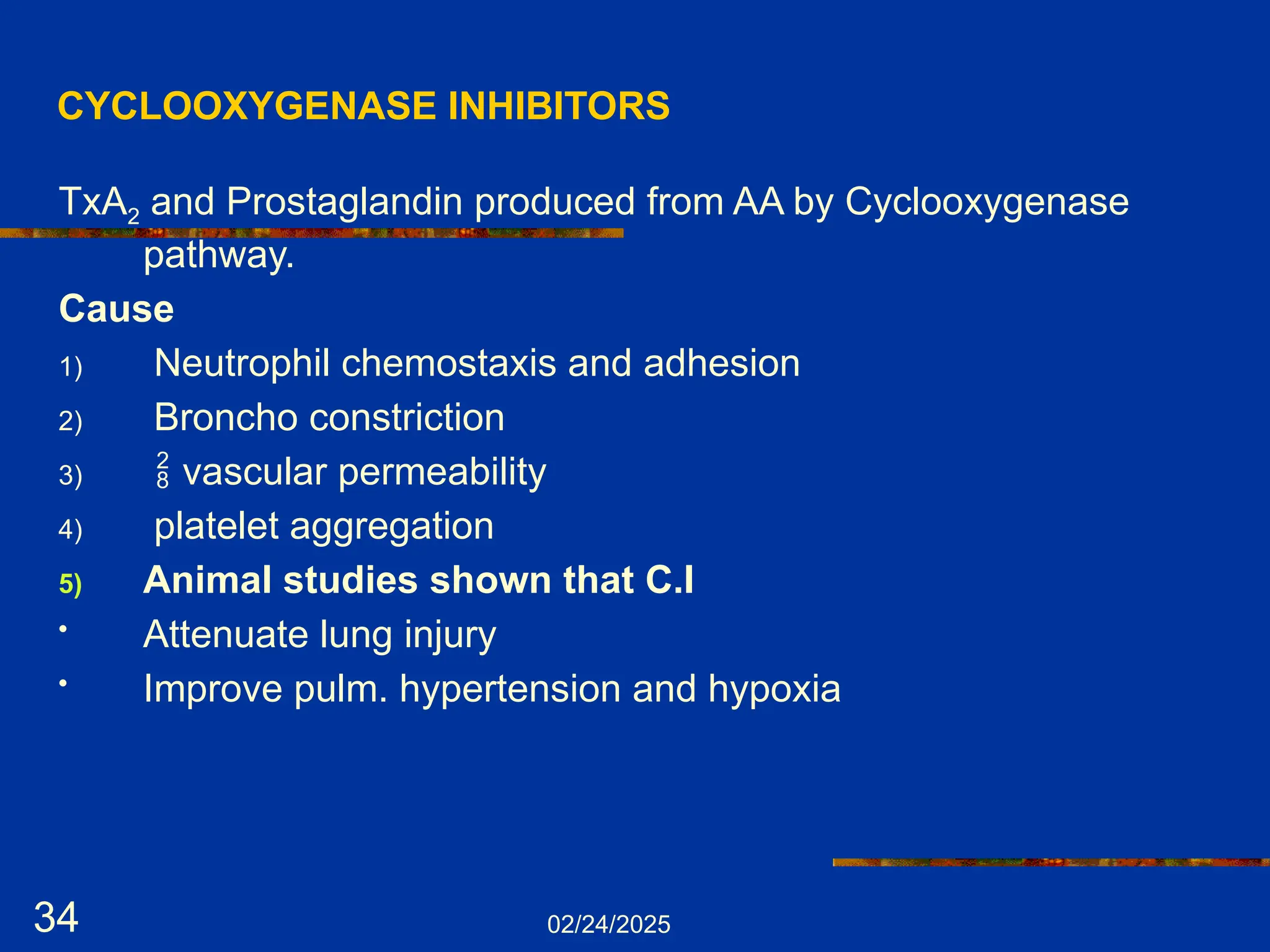 02/24/2025
34
CYCLOOXYGENASE INHIBITORS
TxA2 and Prostaglandin produced from AA by Cyclooxygenase
pathway.
Cause
1) Neutrophil chemostaxis and adhesion
2) Broncho constriction
3)  vascular permeability
4) platelet aggregation
5) Animal studies shown that C.I
• Attenuate lung injury
• Improve pulm. hypertension and hypoxia
 