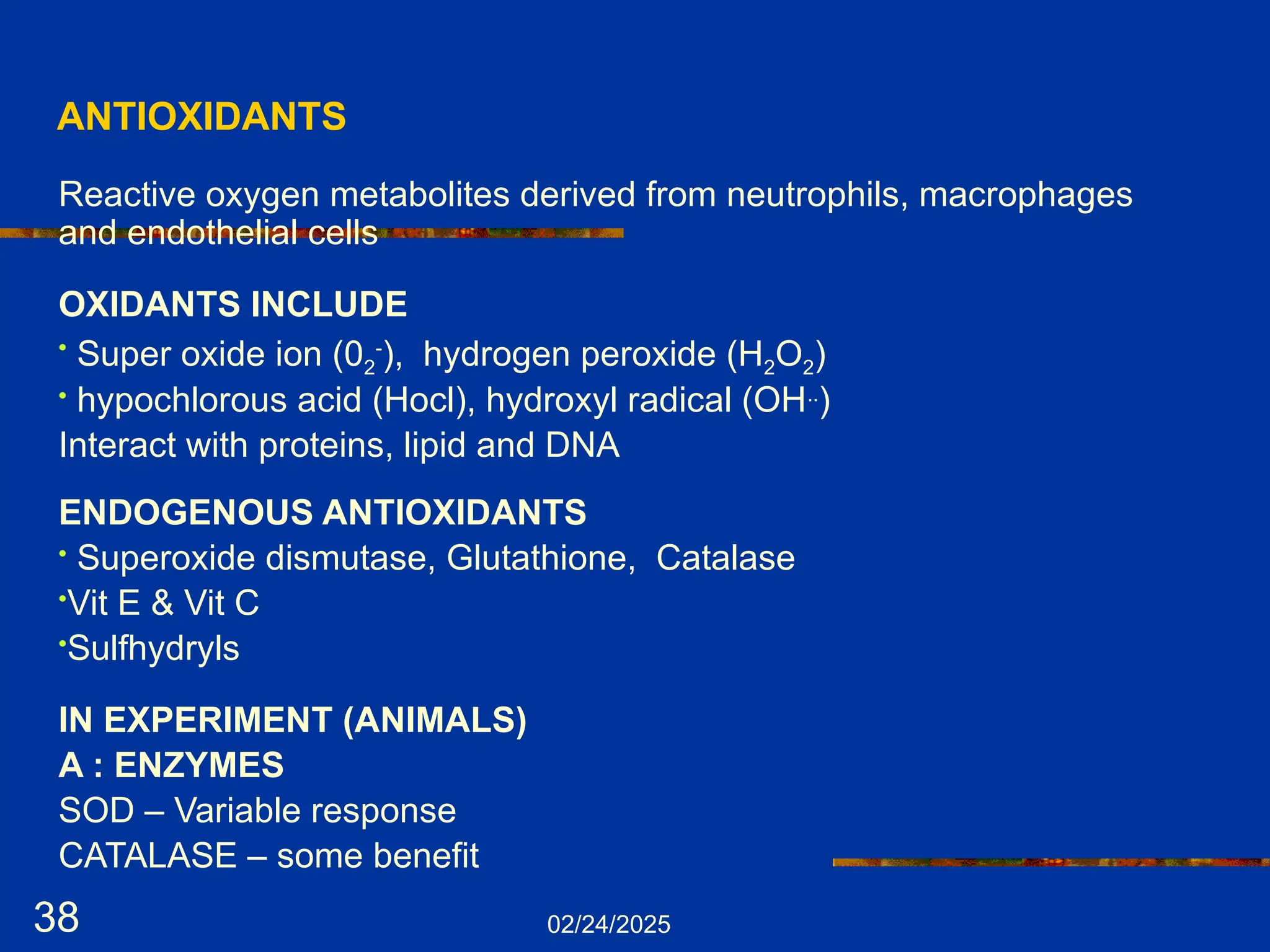 02/24/2025
38
ANTIOXIDANTS
Reactive oxygen metabolites derived from neutrophils, macrophages
and endothelial cells
OXIDANTS INCLUDE
• Super oxide ion (02
-
), hydrogen peroxide (H2O2)
• hypochlorous acid (Hocl), hydroxyl radical (OH..
)
Interact with proteins, lipid and DNA
ENDOGENOUS ANTIOXIDANTS
• Superoxide dismutase, Glutathione, Catalase
•Vit E & Vit C
•Sulfhydryls
IN EXPERIMENT (ANIMALS)
A : ENZYMES
SOD – Variable response
CATALASE – some benefit
 