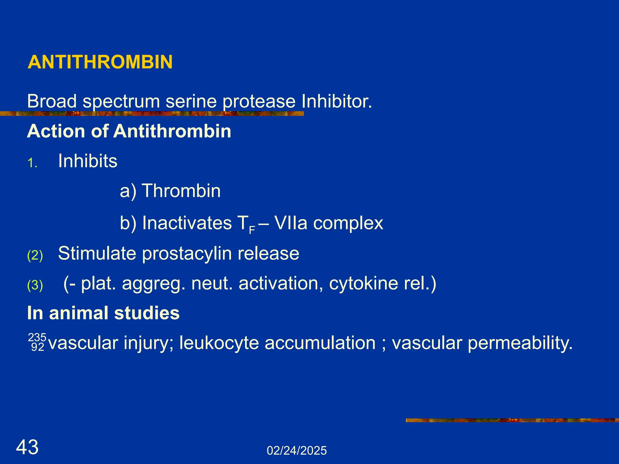 02/24/2025
43
ANTITHROMBIN
Broad spectrum serine protease Inhibitor.
Action of Antithrombin
1. Inhibits
a) Thrombin
b) Inactivates TF – VIIa complex
(2) Stimulate prostacylin release
(3) (- plat. aggreg. neut. activation, cytokine rel.)
In animal studies
vascular injury; leukocyte accumulation ; vascular permeability.
 