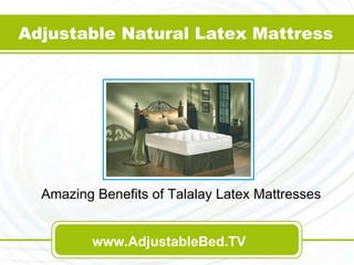 Amazing Benefits of Talalay Latex Mattresses Adjustable Natural Latex Mattress www.AdjustableBed.TV 