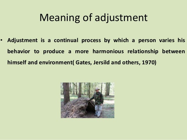 adjustment conflict and frustration