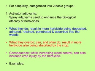 Adjuvant.ppt