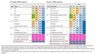 Adjuvant and Neo-adjuvant systemic therapy in NSCLC.pptx