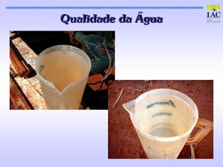 Qualidade da Água
 