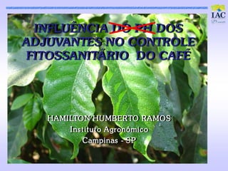 I NFLUÊNCI A D O P H D OS
AD JUVANTES NO CONTROLE
 FI TOSSANITÁRIO D O CAFÉ




   HAMILTON HUMBERTO RAMOS
       Ins t it ut o Agronômic o
           Campinas - SP
 