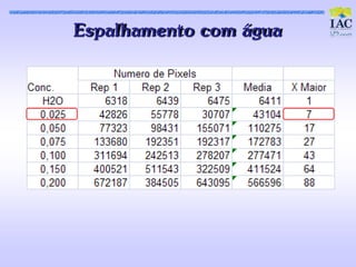 Es palhament o c om água
 