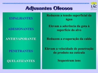 Adjuvant es Oleos os
                  Reduzem a tensão superficial da
 ESPALHANTES                  água

                   Elevam a aderência da gota à
 ADESIONANTES           superfície do alvo

ANTIEVAPORANTE    Reduzem a evaporação da calda


                 Elevam a velocidade de penetração
 PENETRANTES          do produto na cutícula

QUELATIZANTES            Sequestram íons
 