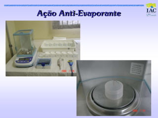 Aç ão Ant i-Evaporant e
 