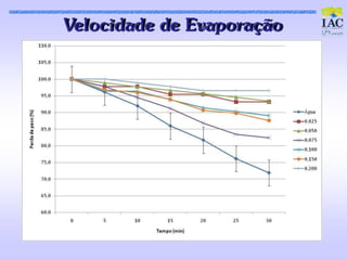 Veloc idade de Evaporaç ão
 