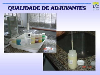 QUALIDAD E D E AD JUVANTES
 