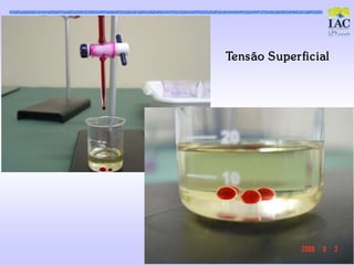 Tens ão Super fic ial
 