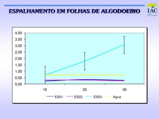 ESPALHAMENTO EM FOLHAS D E ALGOD OEIRO



 4,00
 3,50
 3,00
 2,50
 2,00
 1,50
 1,00
 0,50
 0,00
         10                 20                 30

              ES01   ES02        ES03   Agua
 