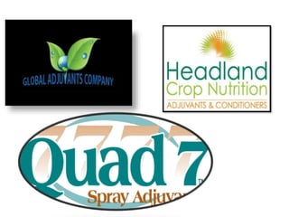 Adjuvants | PPTX