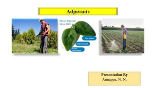 Adjuvants
Presentation By
Annappa, N. N.
 