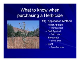 What to know when
What to know when
What to know when
What to know when
purchasing a Herbicide
purchasing a Herbicide
#1) Application Method
#1) Application Method
–
– Foliar Applied
Foliar Applied
Plant contact
Plant contact
–
– Soil Applied
Soil Applied
Soil contact
Soil contact
Soil contact
Soil contact
–
– Broadcast
Broadcast
Entire area
Entire area
–
– Spot
Spot
Specified area
Specified area
 