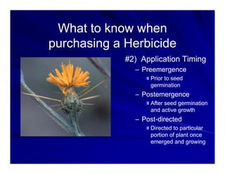 What to know when
What to know when
What to know when
What to know when
purchasing a Herbicide
purchasing a Herbicide
#2) Application Timing
#2) Application Timing
–
– Preemergence
Preemergence
Prior to seed
Prior to seed
germination
germination
–
– Postemergence
Postemergence
g
g
After seed germination
After seed germination
and active growth
and active growth
–
– Post
Post-
-directed
directed
–
– Post
Post-
-directed
directed
Directed to particular
Directed to particular
portion of plant once
portion of plant once
emerged and growing
emerged and growing
emerged and growing
emerged and growing
 
