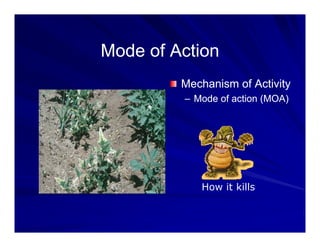 M d f A ti
M d f A ti
Mode of Action
Mode of Action
Mechanism of Activity
Mechanism of Activity
–
– Mode of action (MOA)
Mode of action (MOA)
How it kills
 
