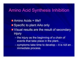 Amino Acid Synthesis Inhibition
Amino Acid Synthesis Inhibition
Amino Acid Synthesis Inhibition
Amino Acid Synthesis Inhibition
Amino Acids = life!!
Amino Acids = life!!
Specific to plant AAs only
Specific to plant AAs only
p p y
p p y
Visual results are the result of secondary
Visual results are the result of secondary
injury
injury
injury
injury
–
– the injury as the beginning of a chain of
the injury as the beginning of a chain of
events that take place in the plant
events that take place in the plant
events that take place in the plant.
events that take place in the plant.
–
– symptoms take time to develop
symptoms take time to develop –
– it is not an
it is not an
immediate process.
immediate process.
immediate process.
immediate process.
 