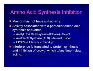 Amino Acid Synthesis Inhibition
Amino Acid Synthesis Inhibition
Amino Acid Synthesis Inhibition
Amino Acid Synthesis Inhibition
May or may not have soil activity.
May or may not have soil activity.
May or may not have soil activity.
May or may not have soil activity.
Activity associated with a particular amino acid
Activity associated with a particular amino acid
synthesis sequence.
synthesis sequence.
y q
y q
–
– Acetyl CoA Carboxylase (ACCase)
Acetyl CoA Carboxylase (ACCase) -
- Select
Select
–
– Acetolacte Synthase (ALS)
Acetolacte Synthase (ALS) -
- Arsenal, Escort
Arsenal, Escort
–
– EPSPase Inhibitor
EPSPase Inhibitor -
- Roundup
Roundup
Interference is translated to protein synthesis
Interference is translated to protein synthesis
and inhibition of growth which takes time
and inhibition of growth which takes time -
- slow
slow
acting.
acting.
 