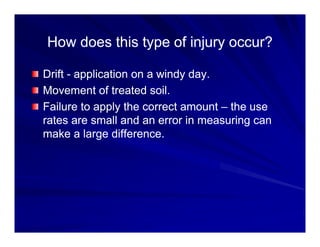How does this type of injury occur?
How does this type of injury occur?
How does this type of injury occur?
How does this type of injury occur?
Drift
Drift -
- application on a windy day.
application on a windy day.
Drift
Drift application on a windy day.
application on a windy day.
Movement of treated soil.
Movement of treated soil.
Failure to apply the correct amount
Failure to apply the correct amount –
– the use
the use
Failure to apply the correct amount
Failure to apply the correct amount the use
the use
rates are small and an error in measuring can
rates are small and an error in measuring can
make a large difference.
make a large difference.
g
g
 