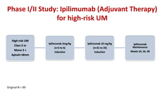 High-risk UM
Class 2 or
Mono 3 +
Apical>=8mm
Ipilimumab 3mg/kg
(n=3 to 6)
induction
Ipilimumab 10 mg/kg
(n=31 to 35)
induction
Ipilimumab
Maintenance
Weeks 24, 36, 48
Phase I/II Study: Ipilimumab (Adjuvant Therapy)
for high-risk UM
Original N = 89
 