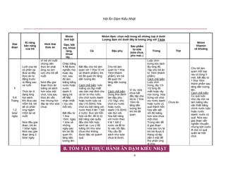 H i Ăn D m Ki u Nh t
4
B. TÓM T T HÀNH TRÌNH ĂN D M KI U NH T
Nhóm
tinh b t
Nhóm ñ m: ch n m t trong s nh ng lo i dư i
Lư ng ñ m chi dư i ñây là tương ng v i 1 b a
Giai
ño n
Kĩ năng
b n năng
c a tr
Hình thái
th c ăn
G o, b t
mỳ, khoai
lang,
khoai
tây…
Cá ð u ph
S n ph m
t s a
(s a chua,
pho mat..)
Tr ng Th t
Nhóm
Vitamin
và khoáng
1
5-6
Tháng
1-2
b a/
ngày
Lư i c a tr
có ph n x
ñưa và ñ y
th c ăn t
ñ ng trư c
ra ñ ng sau
và nu t.
Th c ăn
d ng l ng
hơi sánh.
Khi ñưa vào
m m tr , tr
s có ph n
ng ng m
m m l i và
nu t.
N a ñ u giai
ño n, tr ăn
1 b a/ ngày.
N a sau giai
ño n tăng 2
b a/ ngày
Vì tr ch nu t
ch ng nên
th c ăn ph i
l ng, ko l n
c n cho tr d
nu t.
N a ñ u giai
ño n th c ăn
loãng và sánh
hơn s a m t
chút, n a sau
th c ăn v n
m n nhưng hơi
ñ c l i như s a
chua.
Cháo tr ng
1:10 ñư c
nghi n m n
ho c rây
m n, sau
ñó làm
loãng b ng
nư c ho c
nư c
dashi
d ng tr
d ti p
nh n nh t
( tùy vào
m i tr ).
B t ñ u t
1 thìa
15ml, ngày
1 b a và
nh ng
ngày sau
khi tr ñã
quen thì
tăng d n
lư ng lên.
B t ñ u cho tr làm
quen v i 1 thìa 15 ml
cá (thành ph m), khi
tr ñã quen thì tăng
d n lư ng lên.
Cách ch bi n: lu c
mi ng cá (5g) mi t
vào bàn mài ñinh cho
cá tơi ra như ru c;
cho chút nư c dashi
ho c nư c lu c cá
vào (15-30ml); hòa
chút xíu b t năng v i
nư c theo t l n 1 b t
2 nư c. ðun sôi h n
h p cá lên, ñ t t
b t năng vào qu y
ñ u cho h n h p
sánh l i. Lưu ý ñ
loãng ch như s a
chua ch không
ñư c ñ c và quánh
quá.
Cho tr làm
quen t 1 thìa
15ml (thành
ph m), khi tr
ñã quen thì
tăng d n lư ng
lên.
Cách ch bi n:
Dùng thìa ñánh
tan ñ u ph
(10-15g), cho
chút xíu nư c
ho c nư c
dashi (15-30ml)
vào ñun sôi,
hòa b t năng
v i nư c theo
t l 1 b t 2
nư c và ñ t
t vào n i ñ u.
Yêu c u ñ
sánh như s a
chua là ñư c.
Ví d : s a
chua b t
ñ u t p cho
tr t 1 thìa
15ml r i
tăng d n
lư ng lên
khi tr ñã
quen.
Lu c chín
tr ng bóc tách
l y lòng ñ .
T p cho tr ăn
t 15ml (thành
ph m).
Cách ch bi n:
Lu c chín
tr ng, l y 1/3-
1/2 lòng ñ
mi t ho c rây
m n tr ng. Hòa
tr ng v i chút
xíu nư c dashi
ho c nư c c
qu thành h n
h p s n s t
v i ñ loãng
hơn s a chua
m t chút.
Tr ng nên ñ
giai ño n
n a sau t c là
khi tr ñư c 6
tháng và t p
d n ít m t ñ
th ph n ng
d ng.
Chưa ăn
Cho tr làm
quen m i lo i
rau c t ng tí
m t, b t ñ u t
1 thìa 15ml
thành ph m sau
tăng d n lư ng
lên.
Cách ch bi n:
C qu lu c
nh rây m n và
làm loãng n u
c n thi t b ng
chính nư c lu c
ho c nư c
dashi, nư c c
qu . N a sau
giai ño n v n
nghi n nhuy n
nhưng b t nư c
ñi cho c qu
qu n l i m t
chút.
B. TÓM T T TH C HÀNH ĂN D M KI U NH T
 