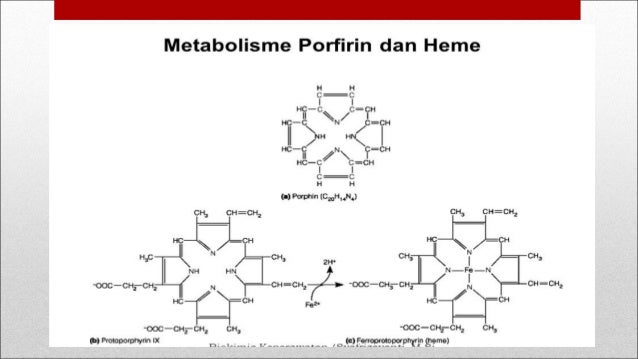 Mineral yang terdapat dalam tubuh