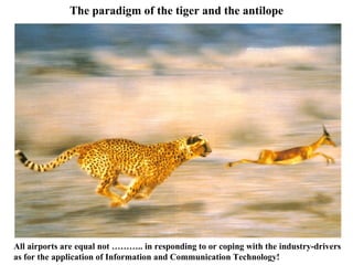 The paradigm of the tiger and the antilope All airports are equal not ……….. in responding to or coping with the industry-drivers as for the application of Information and Communication Technology! 