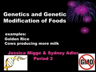 Genetics and Genetic Modification of Foodsexamples: Golden Rice  Cows producing more milk Jessica Migge & Sydney Adler Period 3 