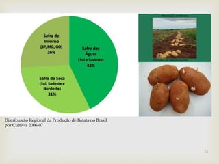 Distribuição Regional da Produção de Batata no Brasil
por Cultivo, 2006-07
14
 
