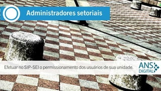 SEI | Administradores setoriais