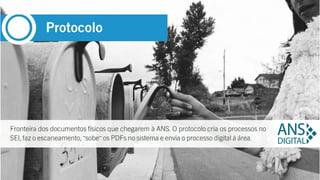 SEI | Administradores setoriais