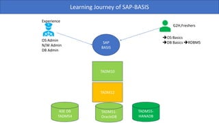 Tadm10 ADM100 Running Book for sap basis domain study | PDF