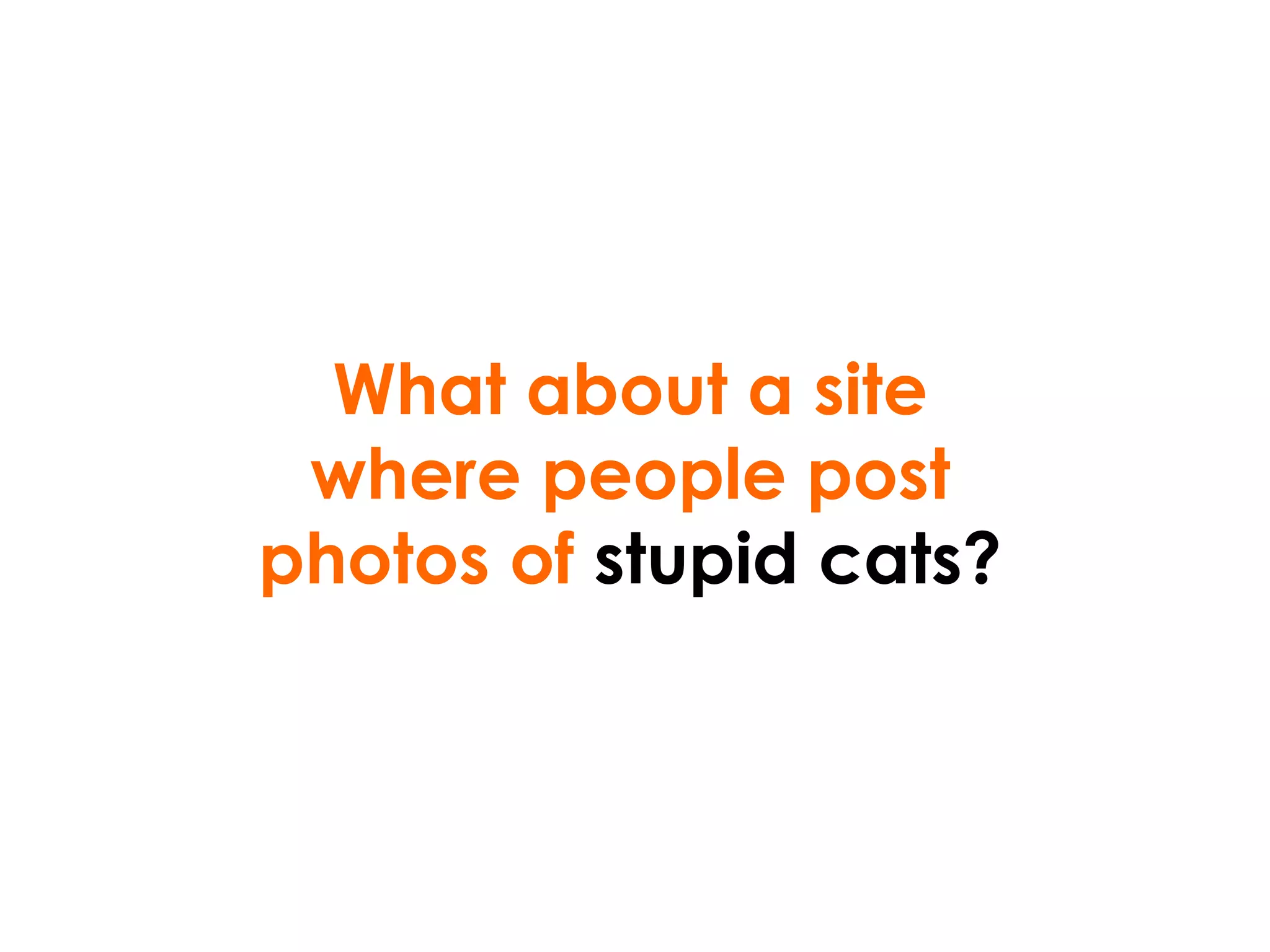 What about a site where people post photos of  stupid cats? 