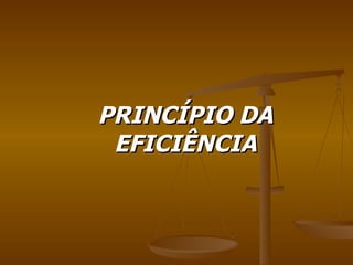 PRINCÍPIO DA EFICIÊNCIA 