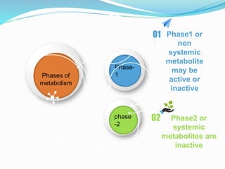Phase-
1
phase
-2
Phases of
metabolism
01 Phase1 or
non
systemic
metabolite
may be
active or
inactive
.
02 Phase2 or
systemic
metabolites are
inactive
 