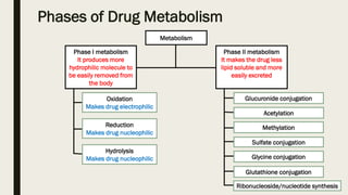 Phases of Drug Metabolism
Metabolism
Phase I metabolism
It produces more
hydrophilic molecule to
be easily removed from
the body
Phase II metabolism
It makes the drug less
lipid soluble and more
easily excreted
Oxidation
Makes drug electrophilic
Reduction
Makes drug nucleophilic
Hydrolysis
Makes drug nucleophilic
Glucuronide conjugation
Acetylation
Methylation
Sulfate conjugation
Glycine conjugation
Glutathione conjugation
Ribonucleoside/nucleotide synthesis
 