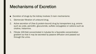Mechanisms of Excretion
■ Excretion of drugs by the kidney involves 3 main mechanisms:
1. Glomerular filtration of unbound drug.
2. Active secretion of (free & protein-bound) drug by transporters (e.g. anions
such as urate, penicillin, glucuronide, sulfate conjugates) or cations such as
choline, histamine.
3. Filtrate 100-fold concentrated in tubules for a favorable concentration
gradient so that it may be secreted by passive diffusion and passed out
through the urine.
 