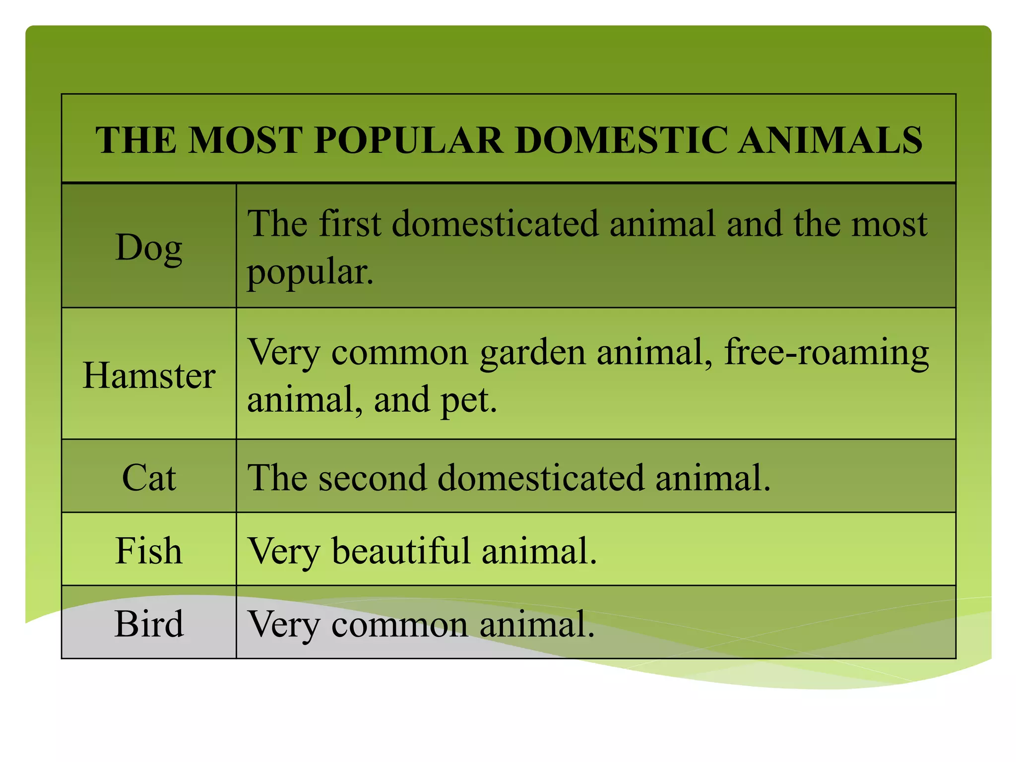 THE MOST POPULAR DOMESTIC ANIMALS
Dog
The first domesticated animal and the most
popular.
Hamster
Very common garden animal, free-roaming
animal, and pet.
Cat The second domesticated animal.
Fish Very beautiful animal.
Bird Very common animal.