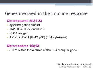 Genes involved in the immune response
Chromosome 5q31-33
•   cytokine genes cluster
•   Th2 : IL-4, IL-5, and IL-13
•   CD...
