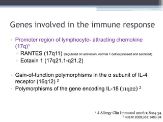 Genes involved in the immune response
• Promoter region of lymphocyte- attracting chemokine
  (17q)1
  ▫ RANTES (17q11) (r...